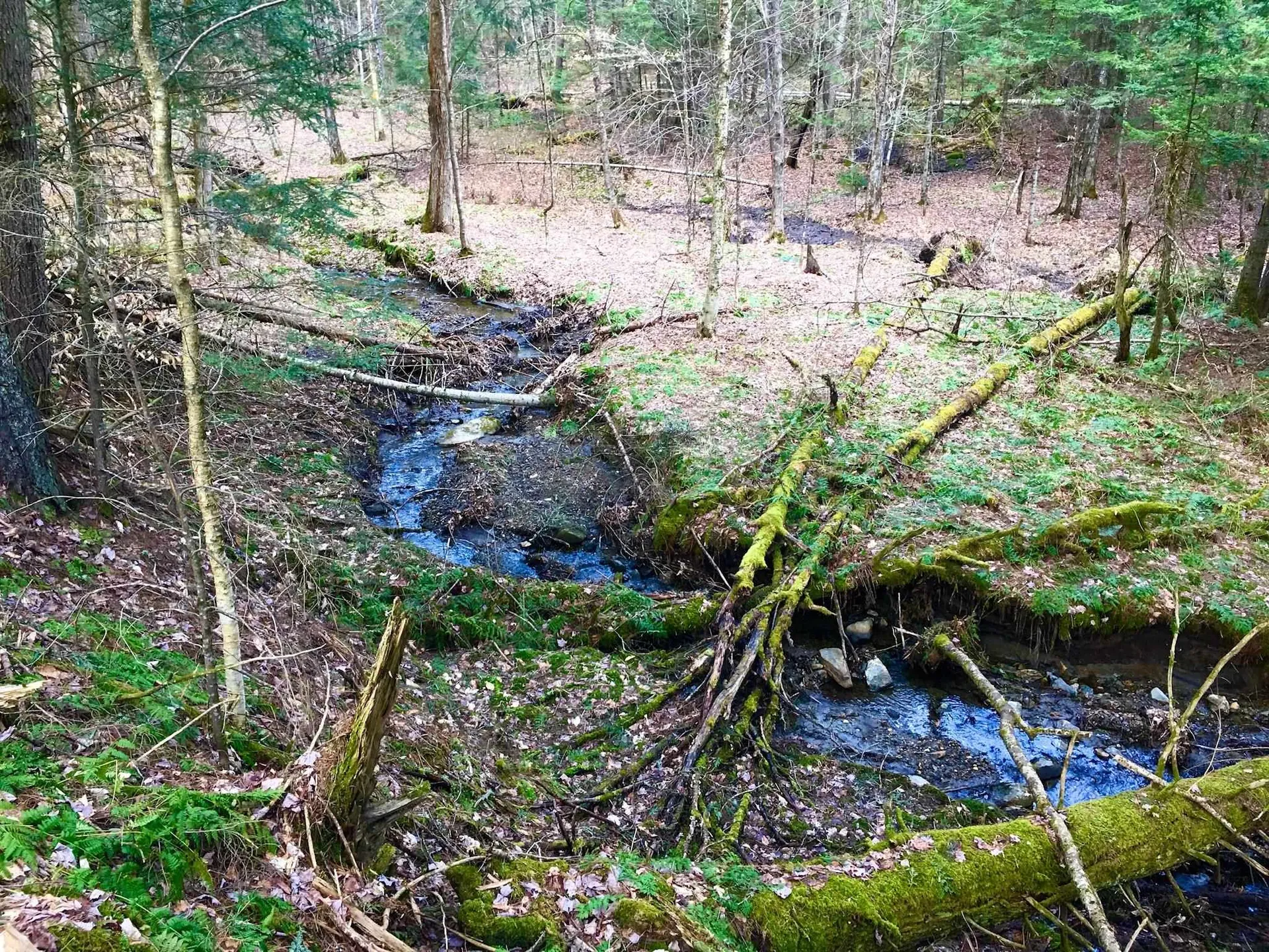 352 Maple Hill Road Johnson VT 05656
