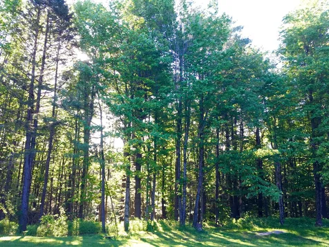 352 Maple Hill Road Johnson VT 05656