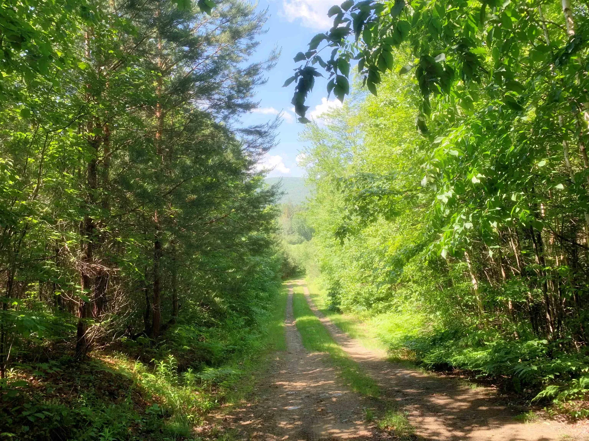 00 East Brighton Road Brighton VT 05846