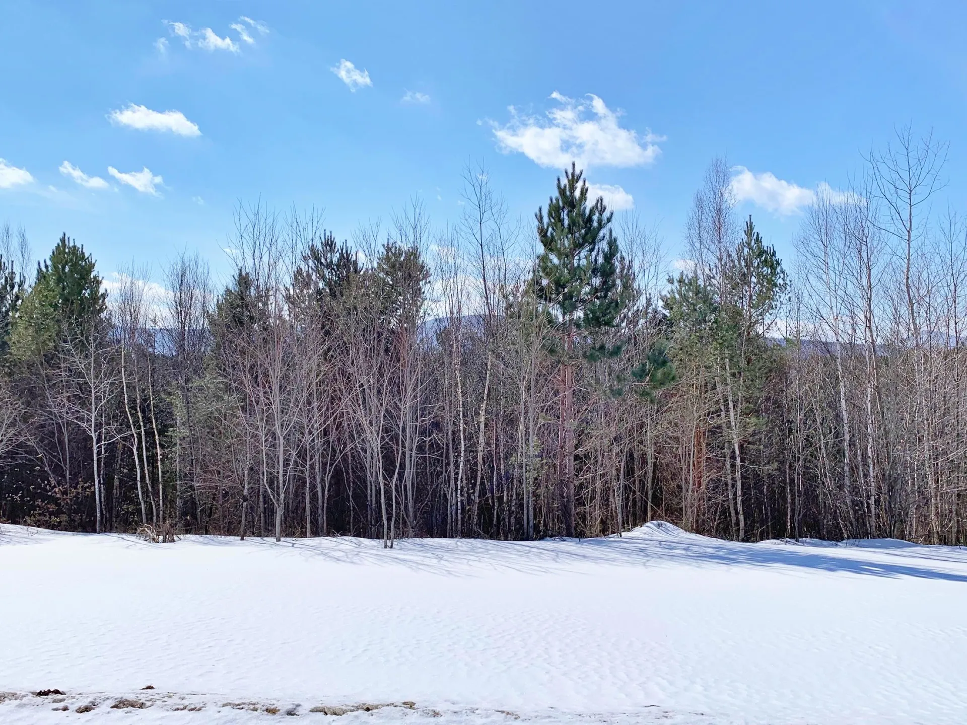 00 East Brighton Road Brighton VT 05846