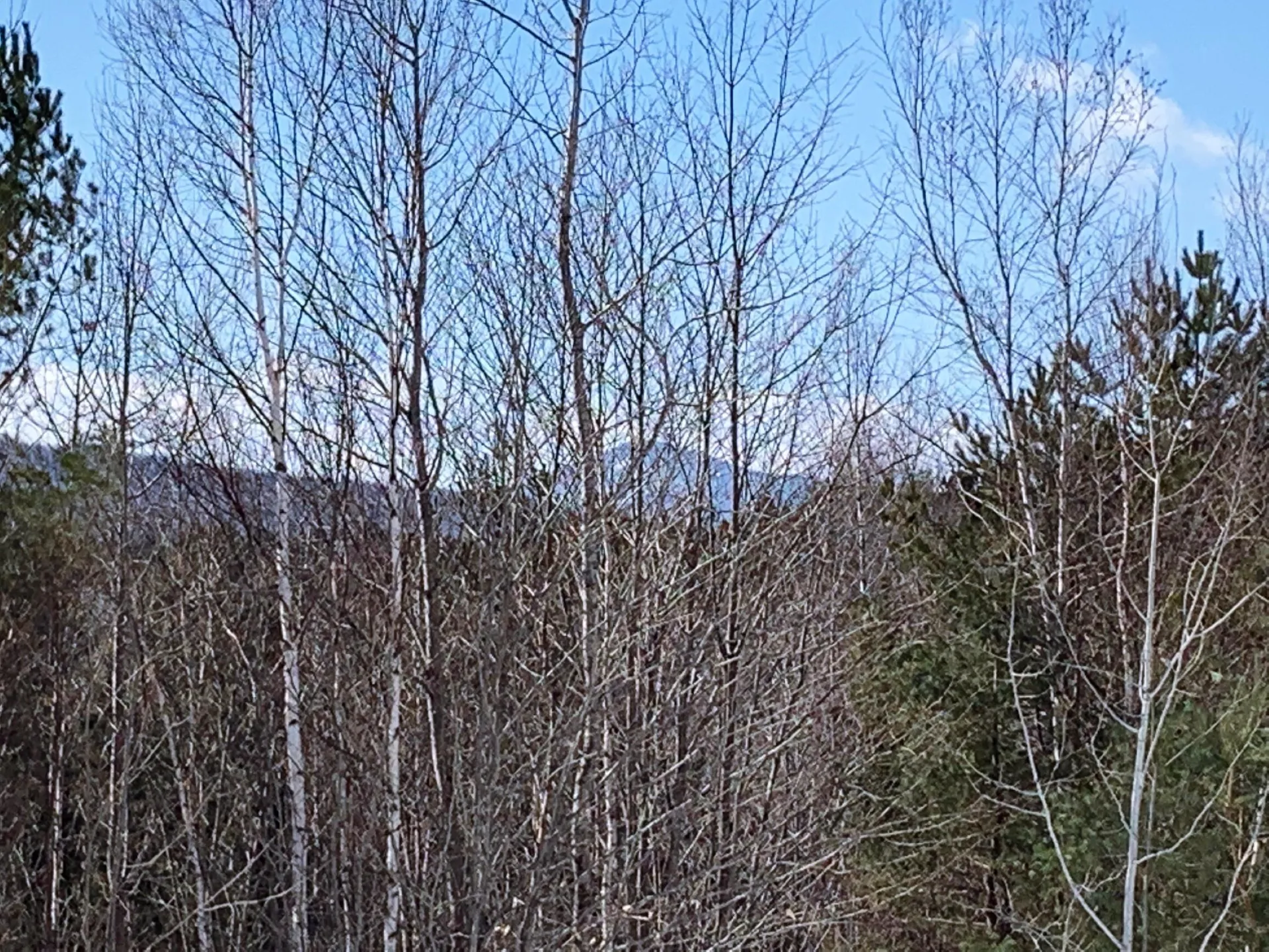 00 East Brighton Road Brighton VT 05846