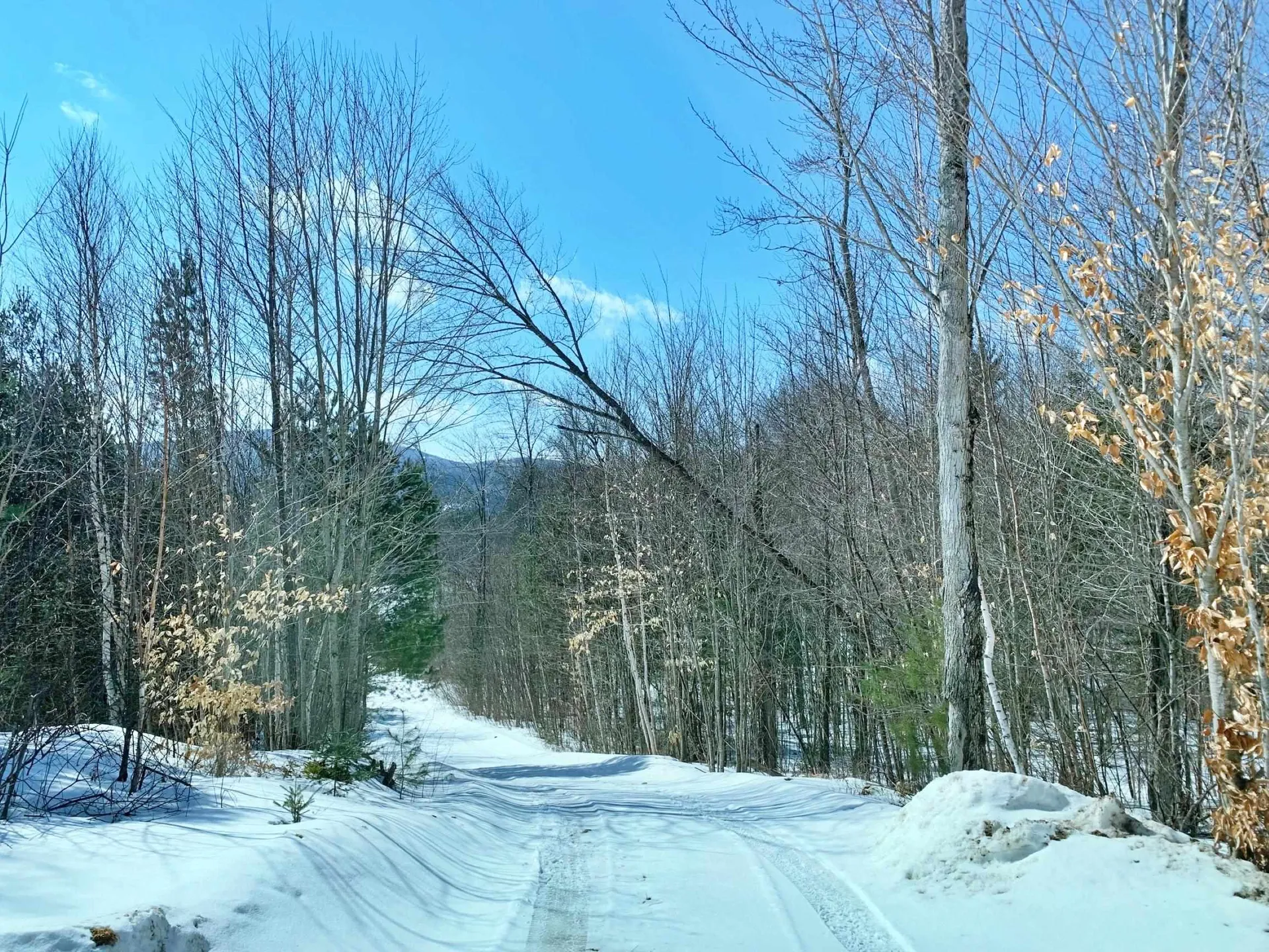 00 East Brighton Road Brighton VT 05846