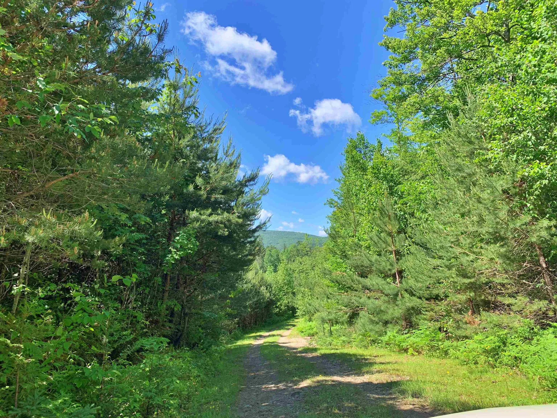 00 East Brighton Road Brighton VT 05846
