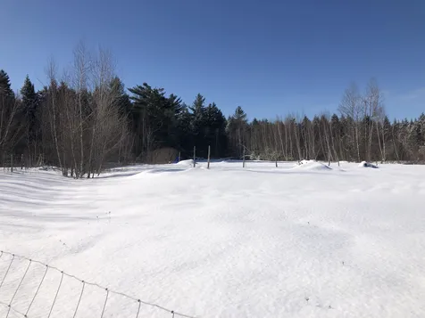 59 Iris Lane Cambridge VT 05464