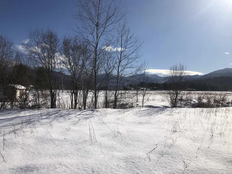 59 Iris Lane Cambridge VT 05464