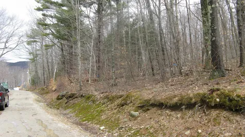 Lot 29 Larry Drive Alton NH 03809