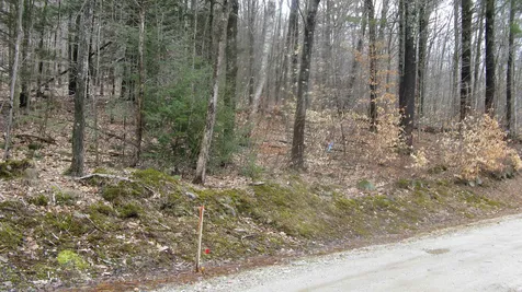 Lot 29 Larry Drive Alton NH 03809