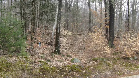 Lot 28 Larry Drive Alton NH 03809