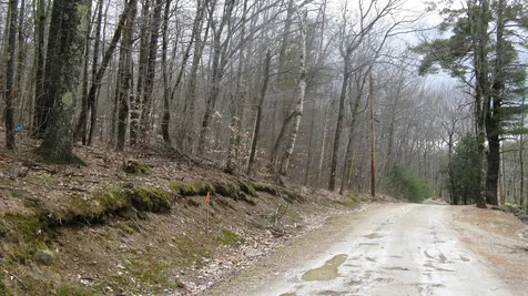 Lot 28 Larry Drive Alton NH 03809
