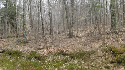 Lot 28 Larry Drive Alton NH 03809