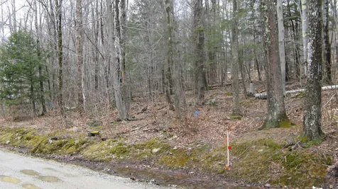 Lot 28 Larry Drive Alton NH 03809