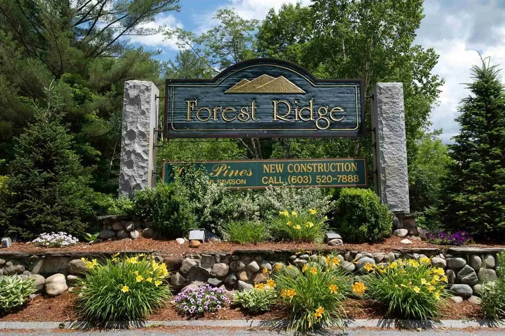 115a Woodland Road Lincoln NH 03251