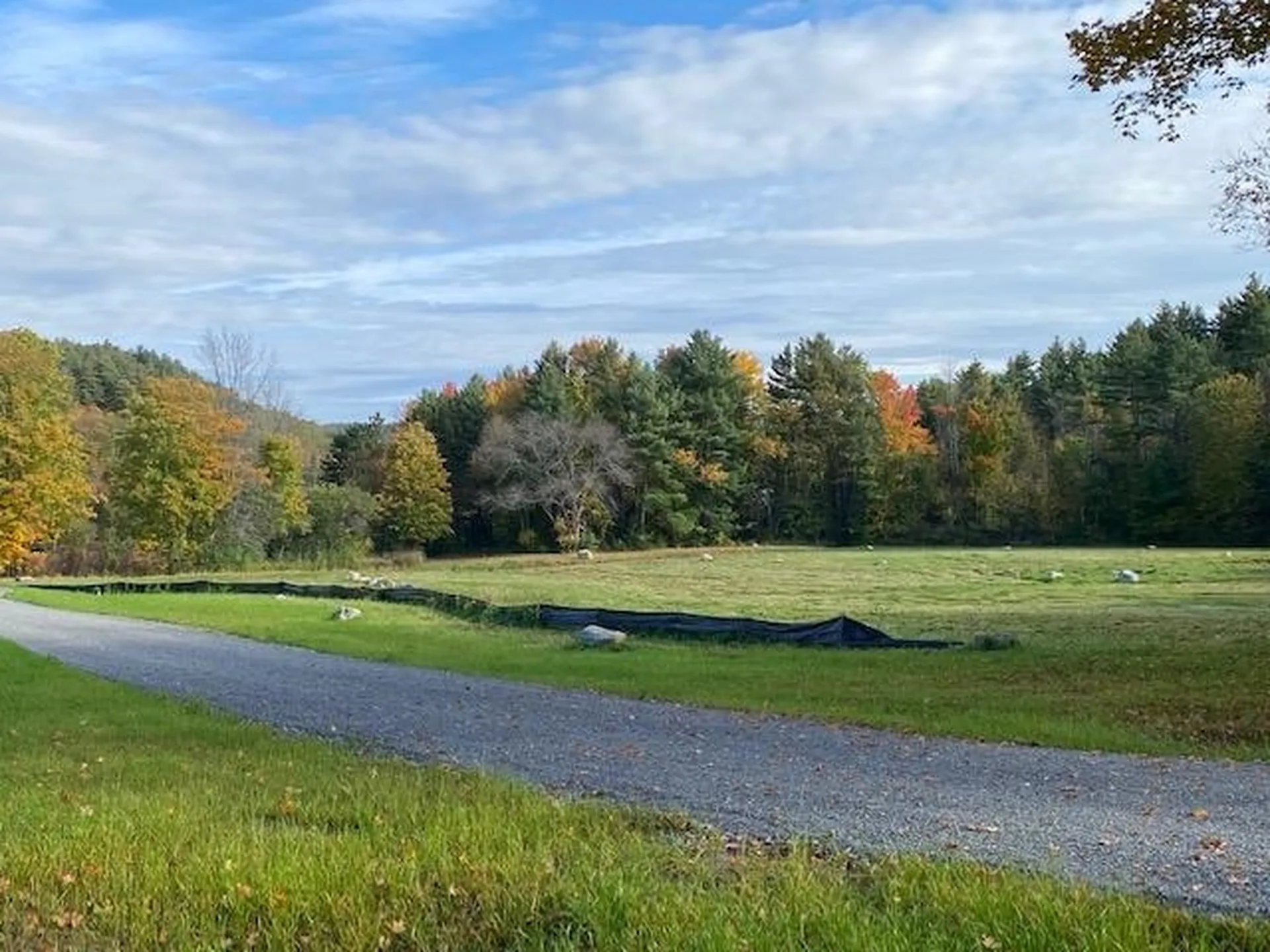 Lot #4 Whitetail Path St. George VT 05495