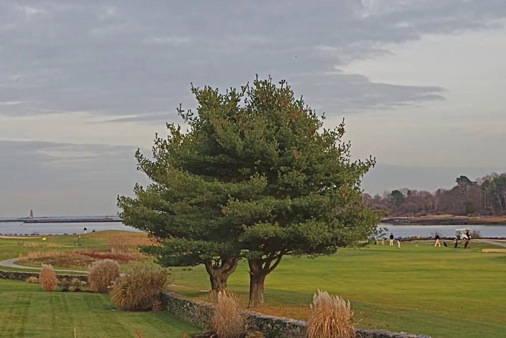 40 Harborview Drive Rye NH 03870