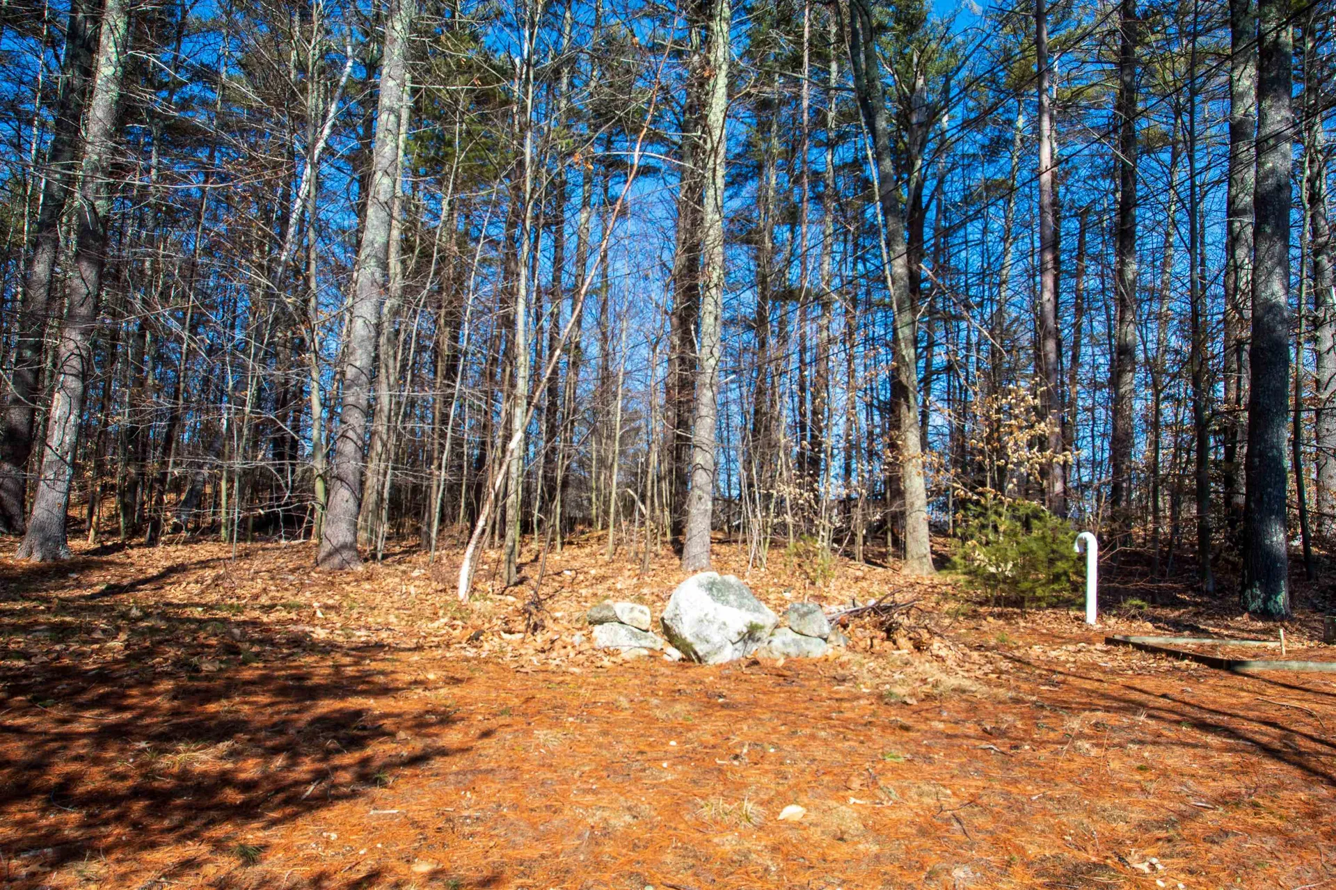 13 Meaders Point Road New Durham NH 03855