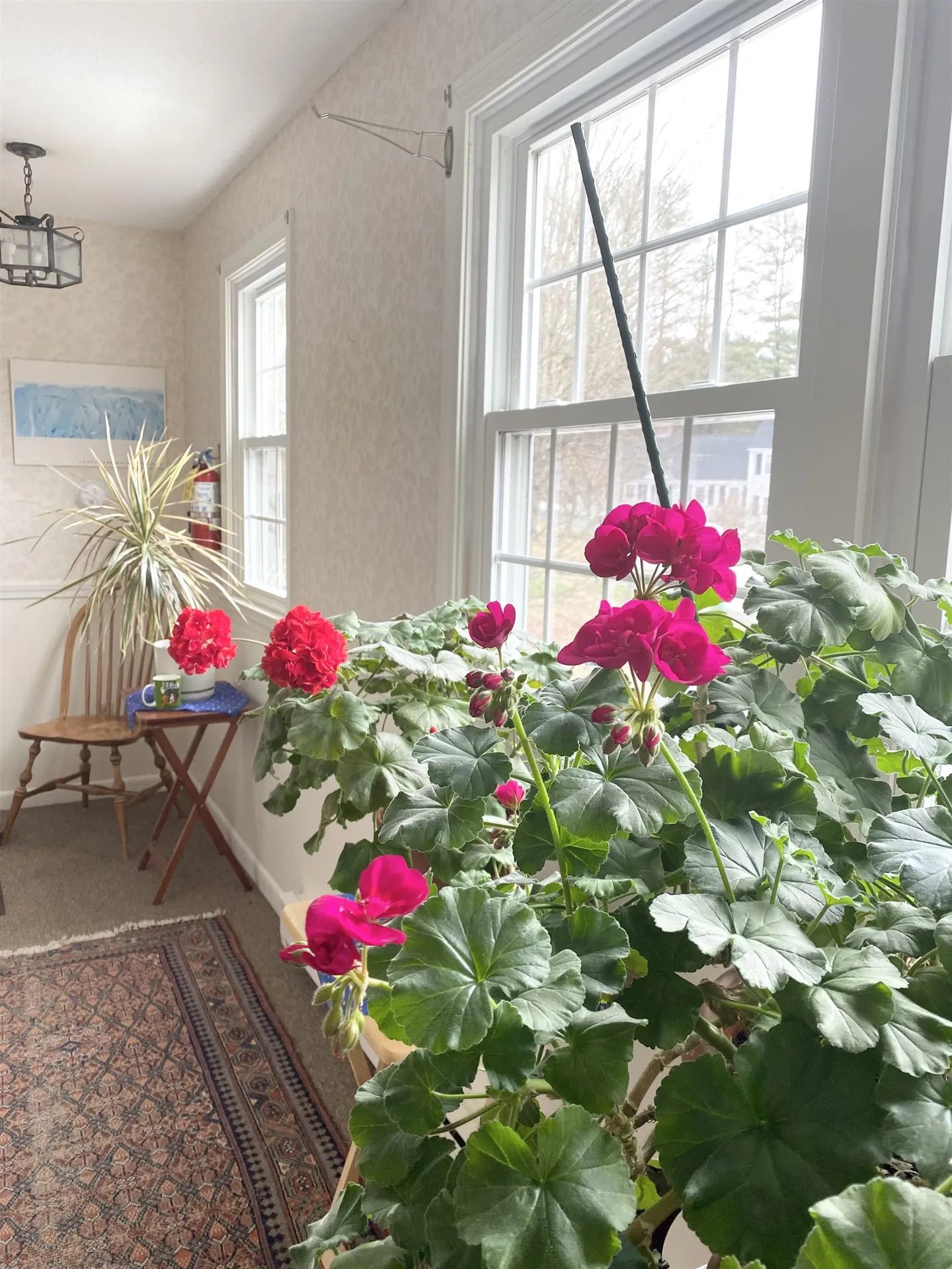 16 Willow Spring Circle Hanover NH 03755