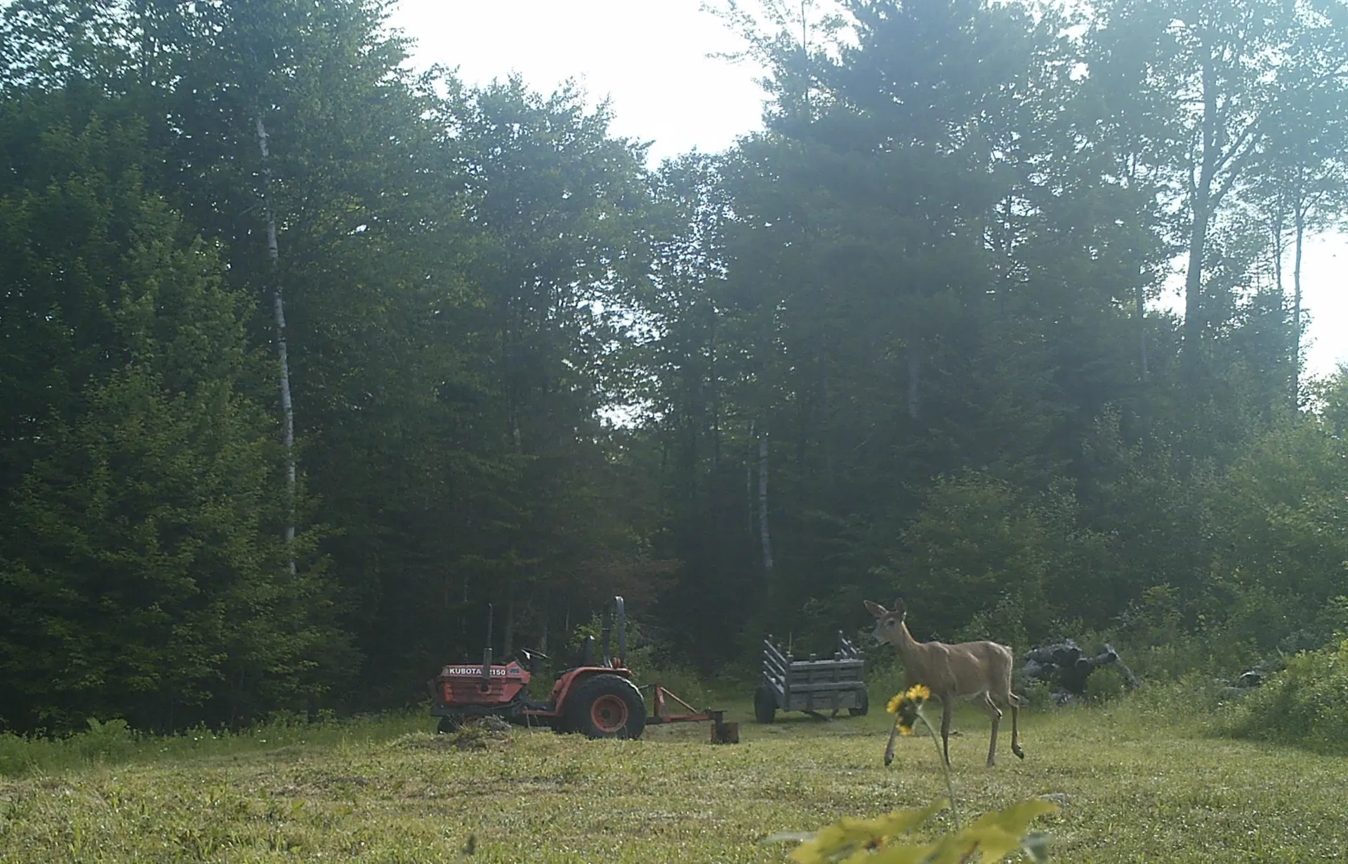 9 Wells Road Dalton NH 03598