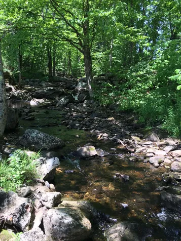 1463 Bobbin Mill Road Lunenburg VT 05906