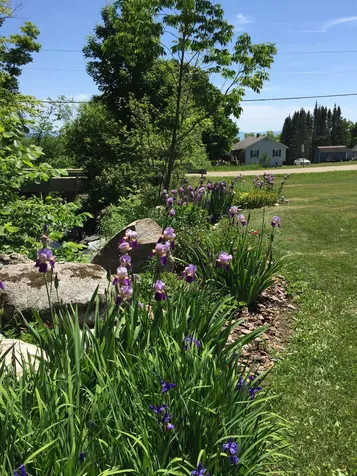1463 Bobbin Mill Road Lunenburg VT 05906