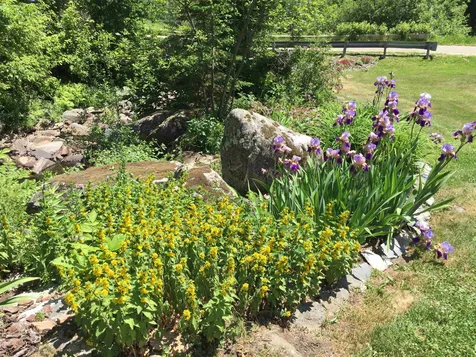 1463 Bobbin Mill Road Lunenburg VT 05906