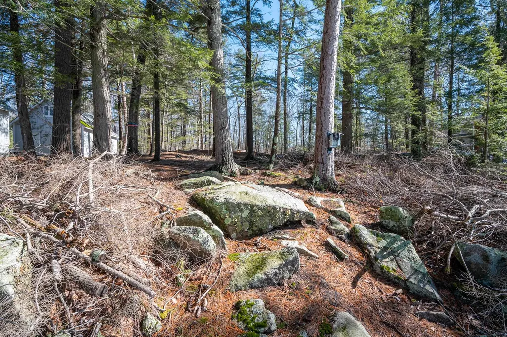 20 Tiger Trail Meredith NH 03253