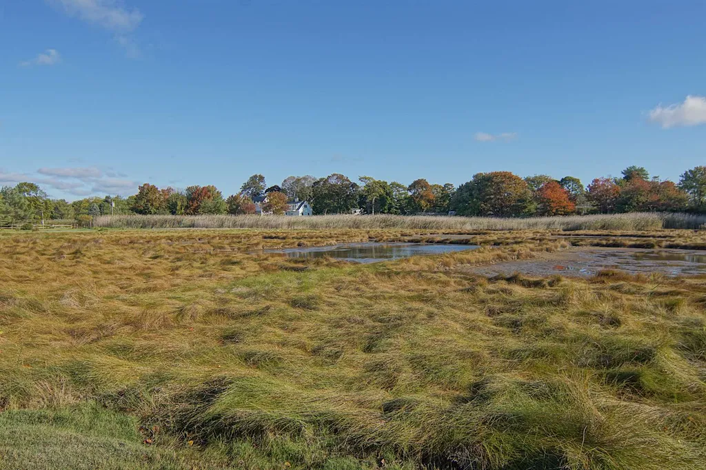 31 Old Locke Road North Hampton NH 03862