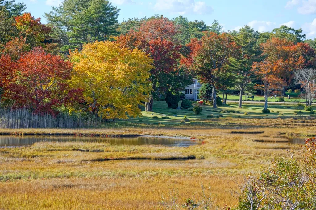 31 Old Locke Road North Hampton NH 03862