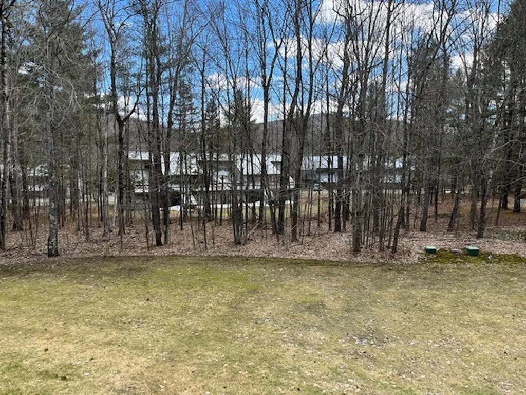 31 Christmas Tree Road Warren VT 05674