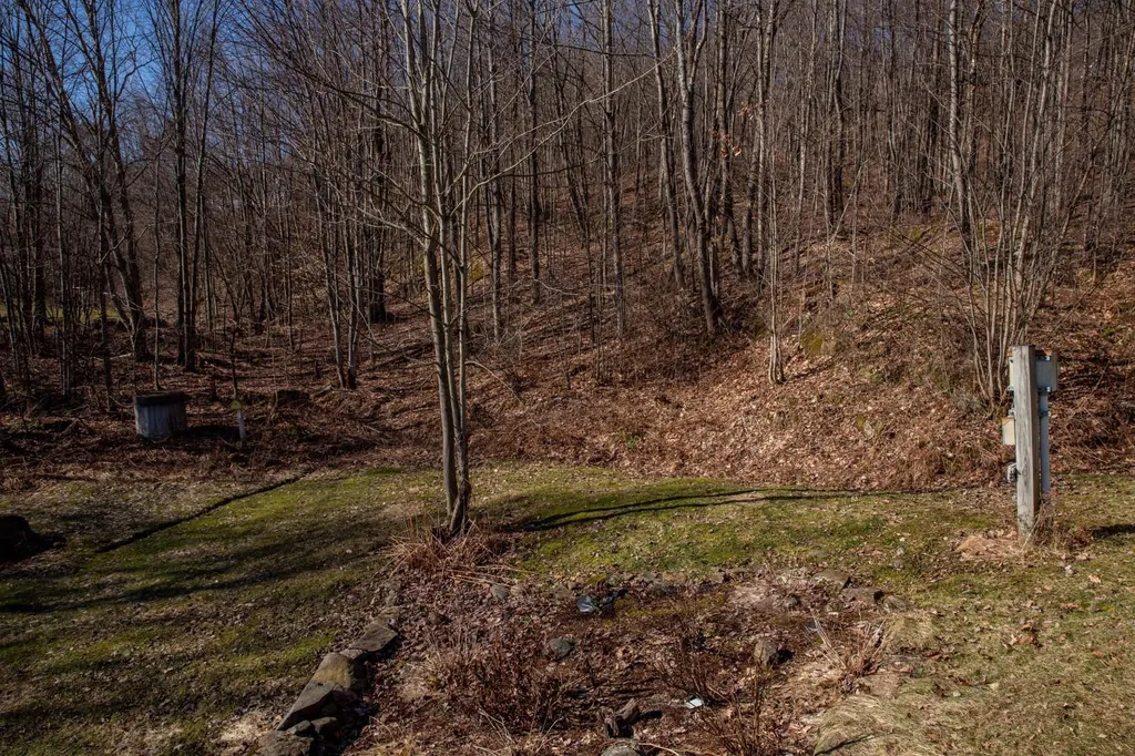 12 Duffy Hill Road Westford VT 05494