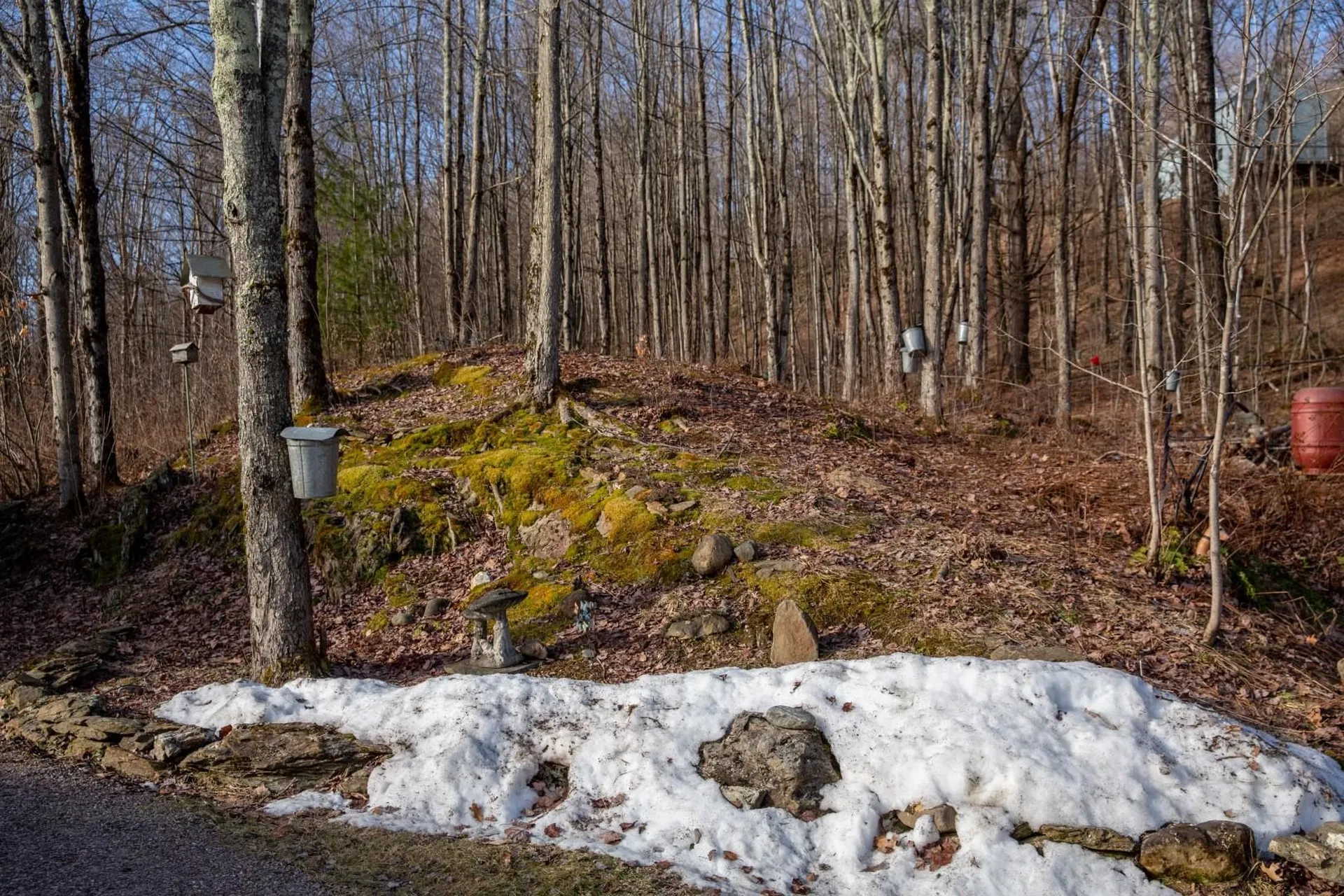 12 Duffy Hill Road Westford VT 05494