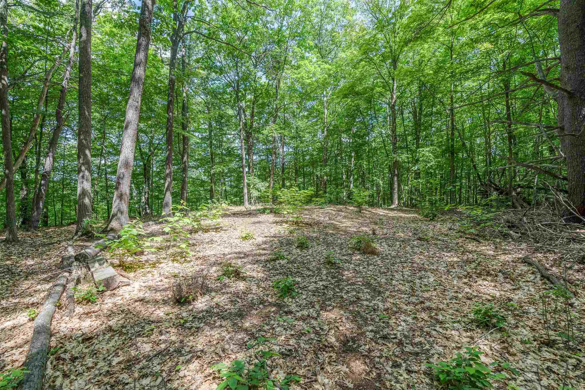 33 Odonnel Farm Road Sharon VT 05065
