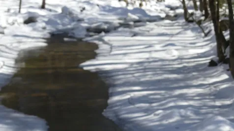 8 Old Stage Road Newfane VT 05345