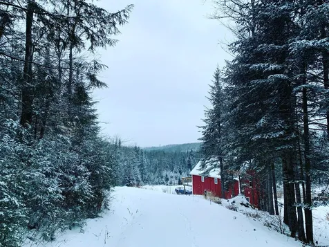 1689 East Hill Road Wolcott VT 05680