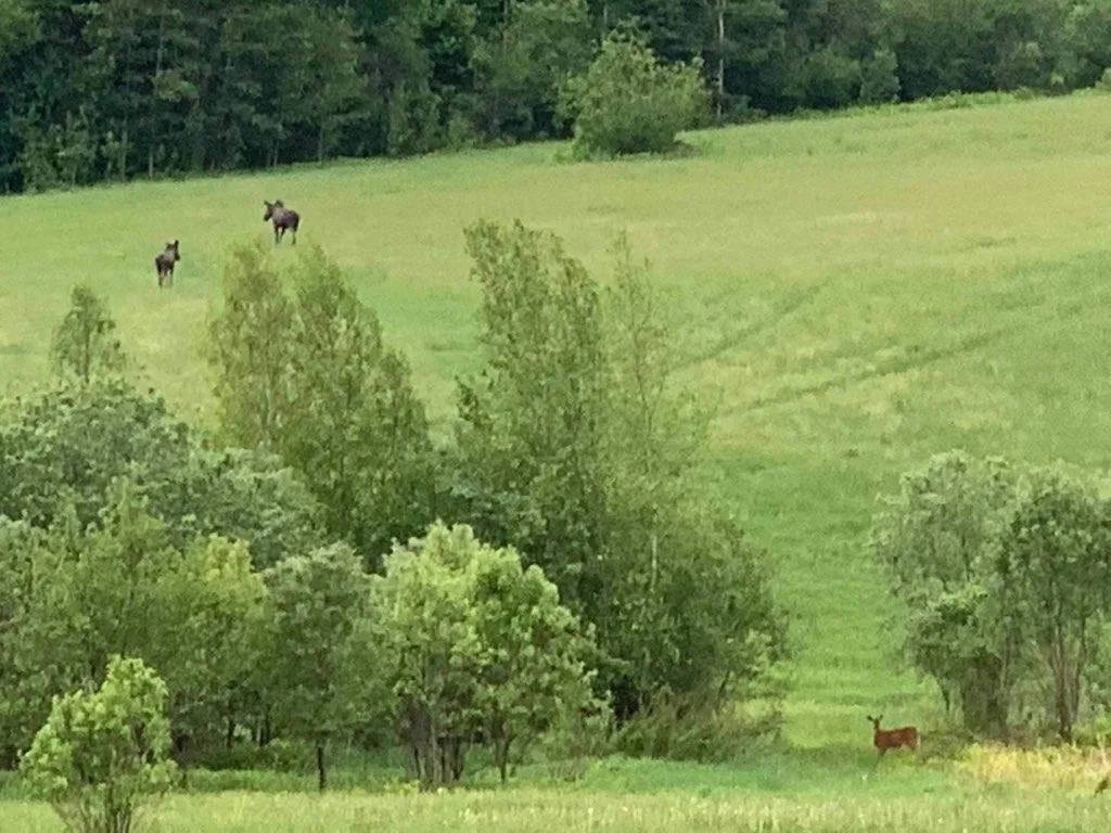6042 Valley Road Holland VT 05830