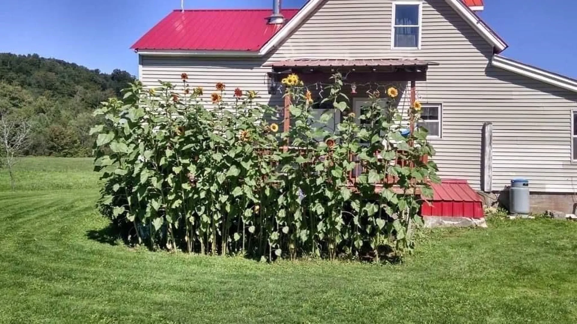 6042 Valley Road Holland VT 05830