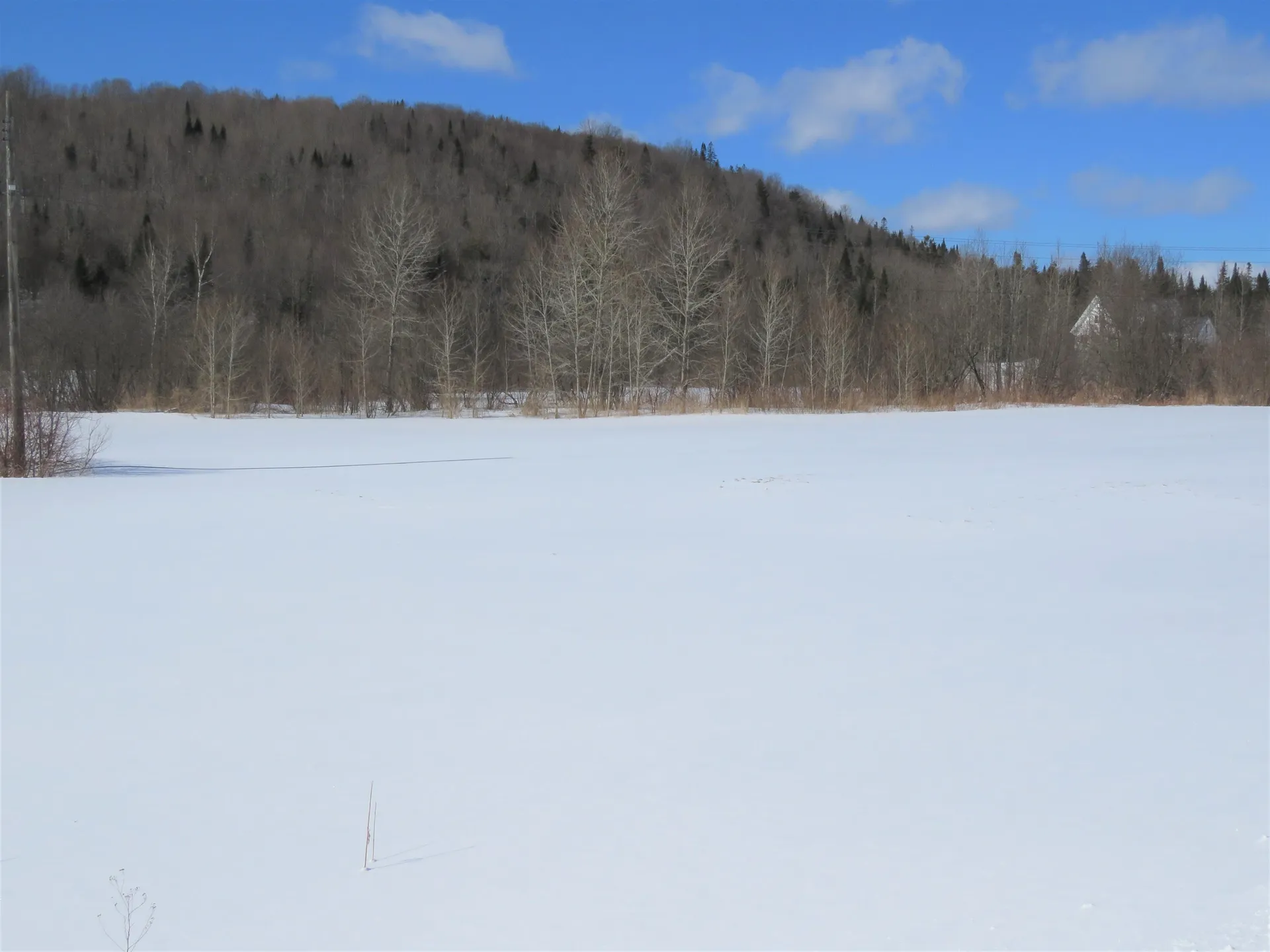 6042 Valley Road Holland VT 05830