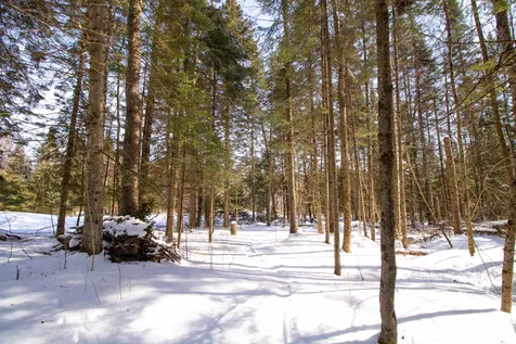 1716 Maple Hill Road Barton VT 05822