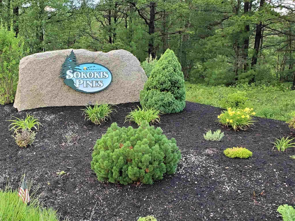 Silver Pine Lane Tamworth NH 03886