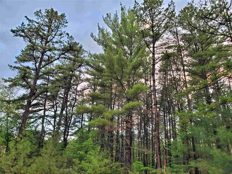 Silver Pine Lane Tamworth NH 03886