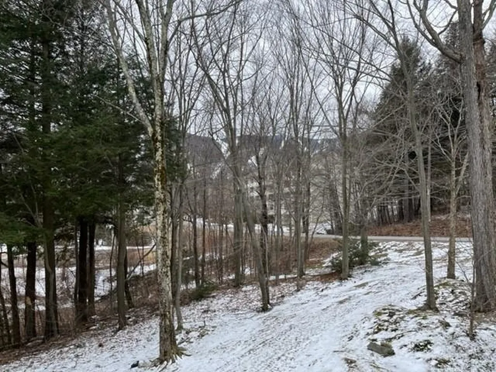 22 Glades Drive Warren VT 05674