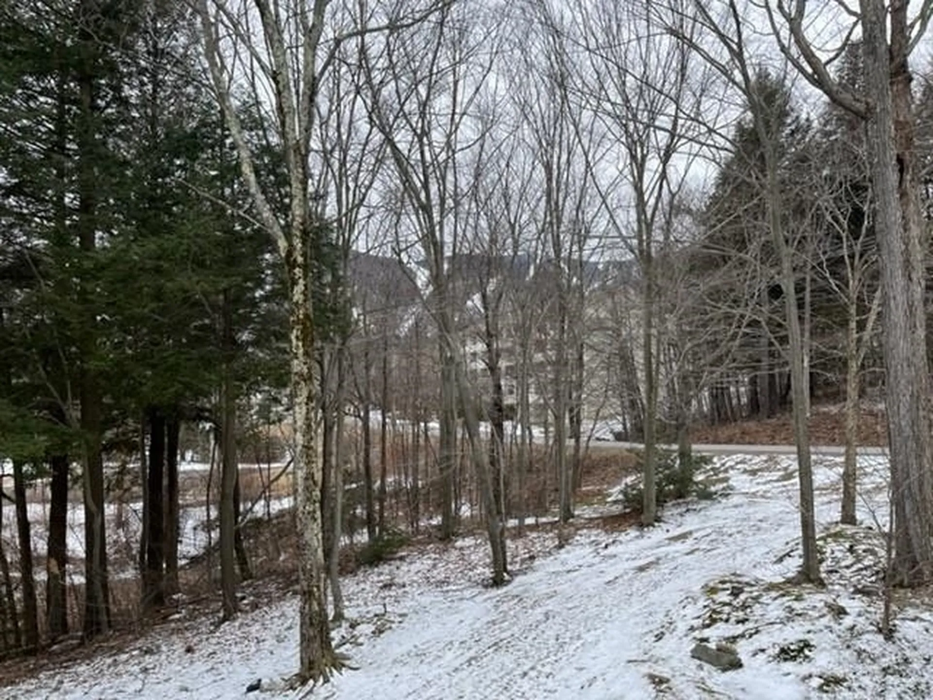 22 Glades Drive Warren VT 05674