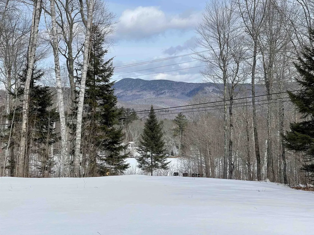 15-2 Hawthorne Way Rumney NH 03266