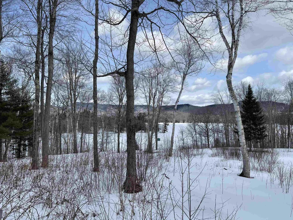 15-2 Hawthorne Way Rumney NH 03266