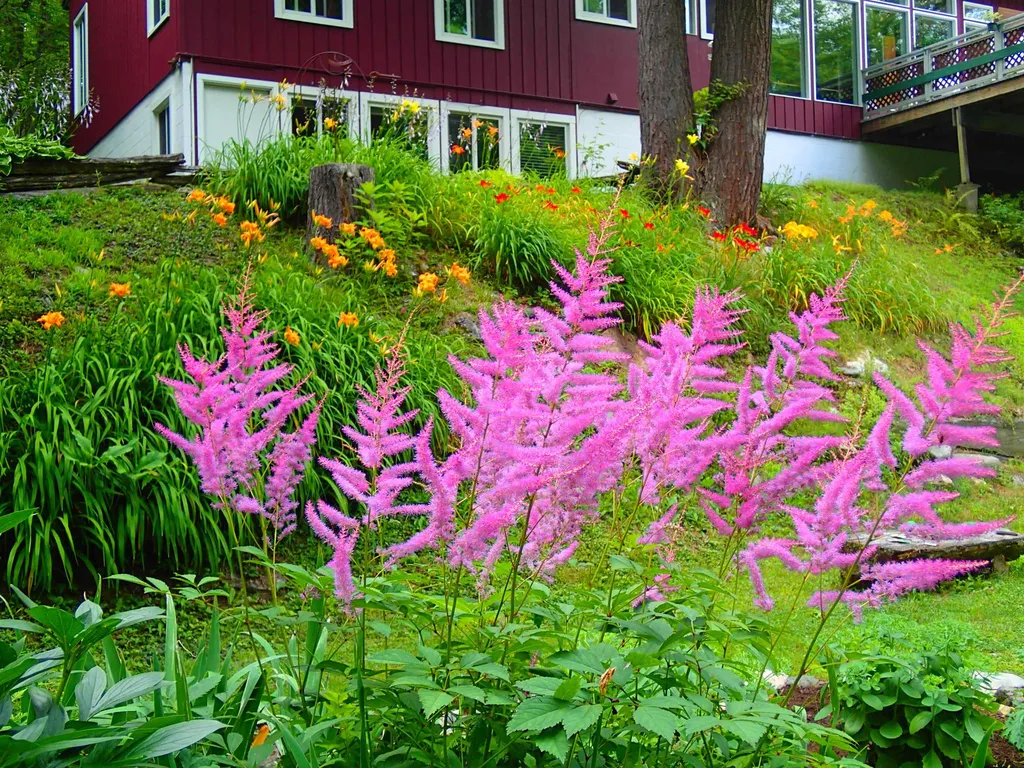 107 Sugarbush Access Road Warren VT 05674