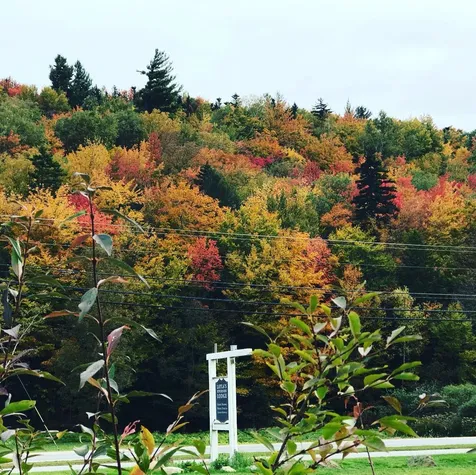 145 Route 100 Dover VT 05356