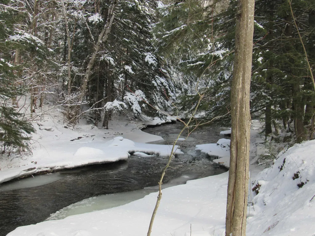 29 Crestwood Drive Gorham NH 03581