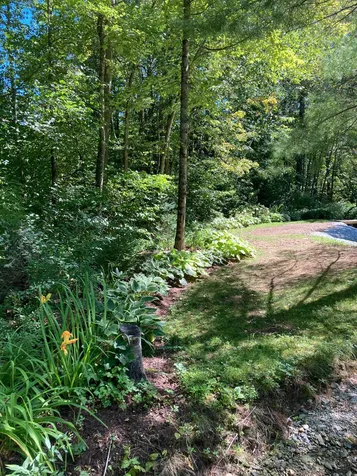 620 Station Road Mount Holly VT 05758