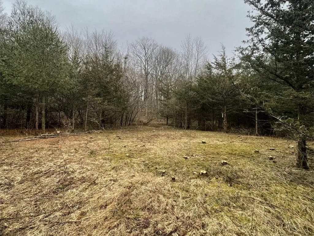2532 Fuller Mountain Road Ferrisburgh VT 05473