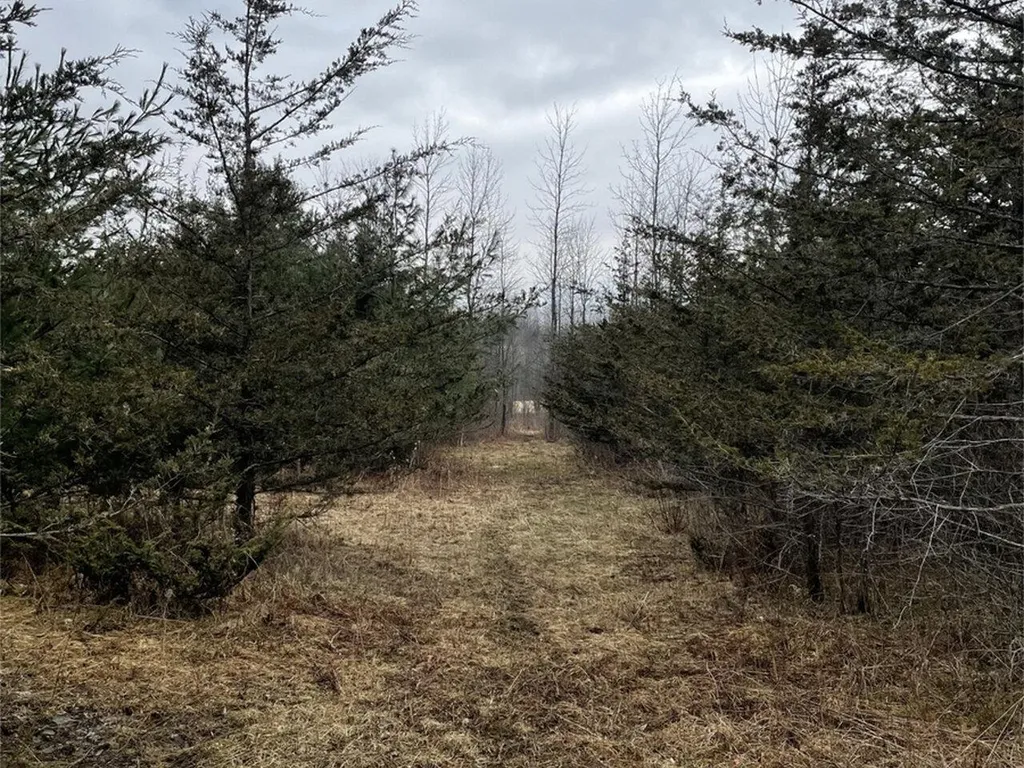 2532 Fuller Mountain Road Ferrisburgh VT 05473