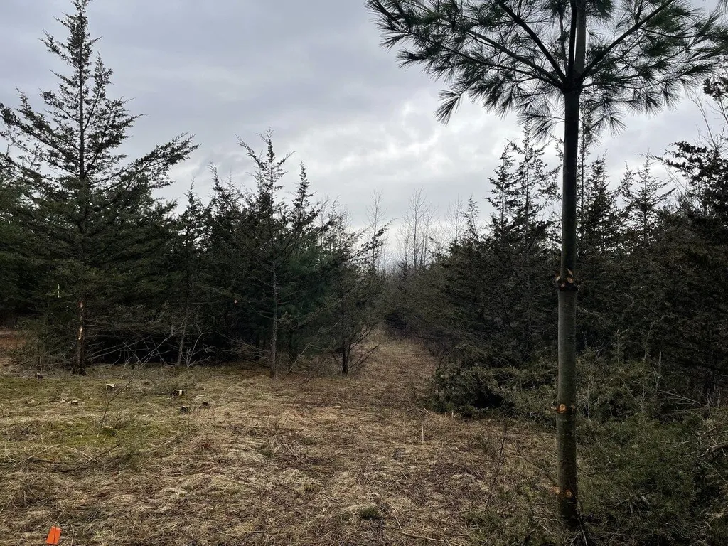 2532 Fuller Mountain Road Ferrisburgh VT 05473